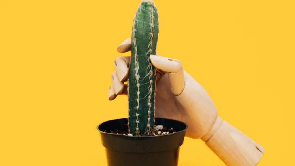 Kich thuoc duong vat Hieu the nao cho dung 5