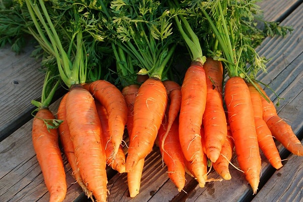 Nếu bạn đang tìm thực phẩm hỗ trợ điều trị xuất tinh sớm thì nên bổ sung cà rốt vào thực đơn