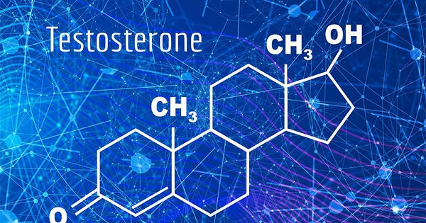 <b>Testosterone có vai trò gì? Testosterone được sinh ra ở đâu?</b>